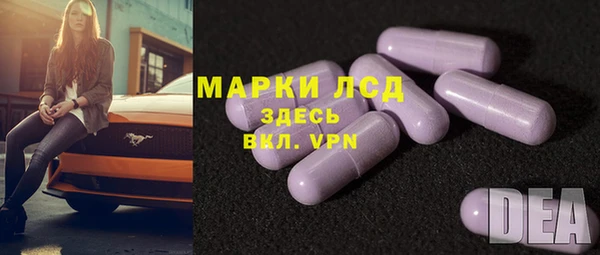 сатива Медвежьегорск