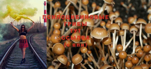 сатива Медвежьегорск