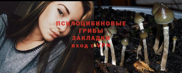 сатива Медвежьегорск