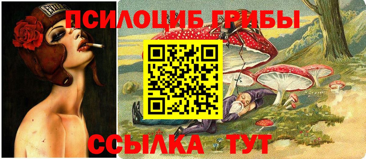 магазин продажи   Галлюциногенные грибы Psilocybine cubensis  Вход с VPN  Галлюциногенные грибы Psilocybe  Евпатория 
