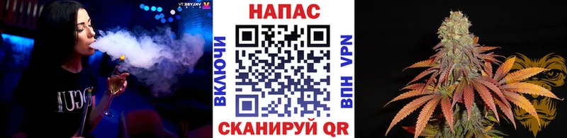 Бошки Шишки конопля  купить наркотики сайты  mega онион  Евпатория 